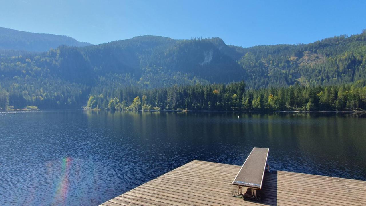 Apartment Tauplitz Skiing, Hiking, Bike, Cross Country - Haus Sandlweber *